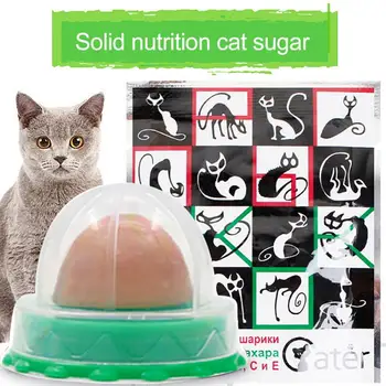 Gezondheid van de Kat Gras Snack Natuurlijke Benodigdheden voor katten Kattenkruid Kat Speelgoed de Spijsvertering te Bevorderen Muur Stick-on
